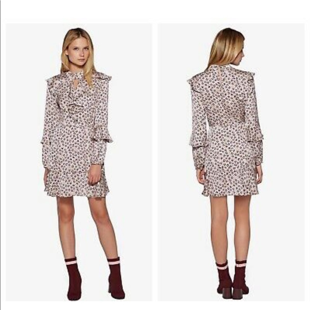 Avec Les Filles Fit and Flare Cheetah Dress